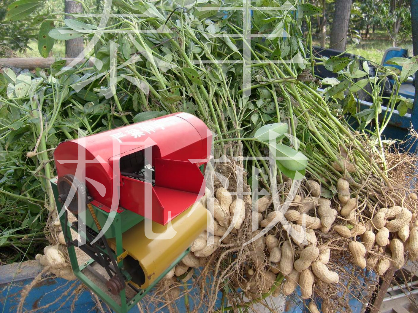 花生摘果機|大型花生摘果機|乾溼兩用花生摘果機|山東曲阜泰豐