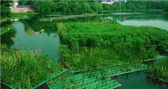 广州有人工浮岛公司吗