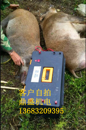 嘉峪关野鸡捕猎器 野鸡捕捉器