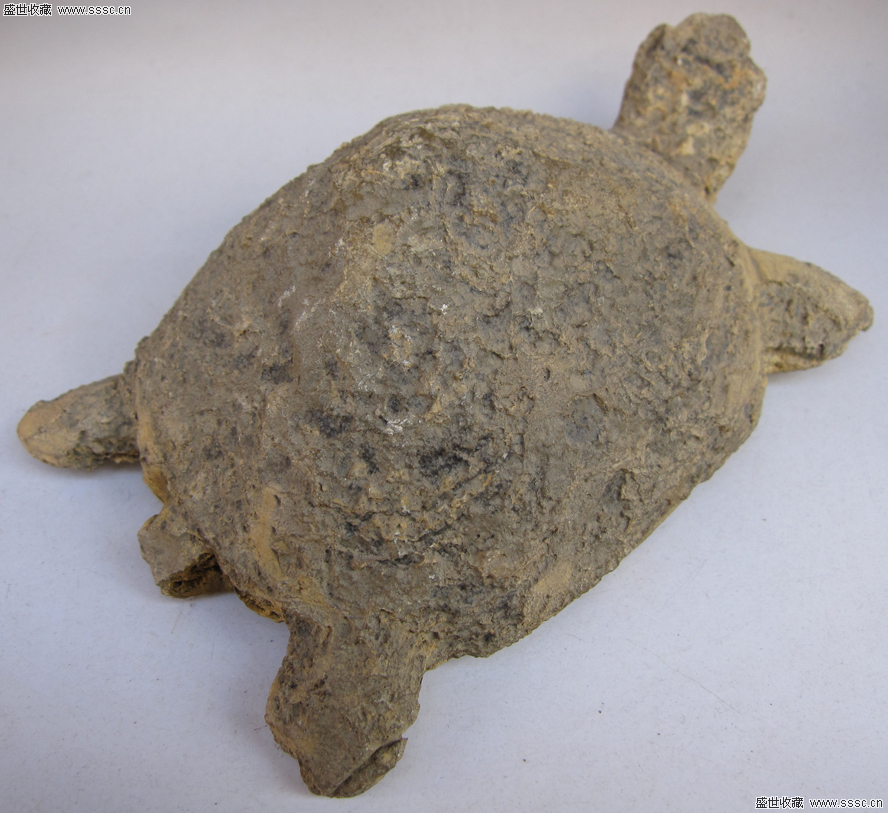 乌龟化石一般值多少钱,怎样鉴定别呢?