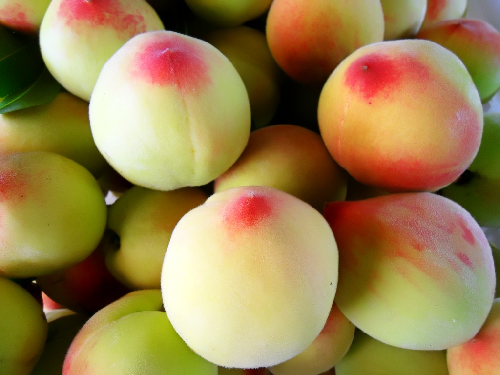 陕西极早熟毛桃价格,早熟毛桃基地批发价格