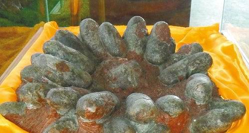 化石拍卖海藻化石可以拍卖交易吗?价格