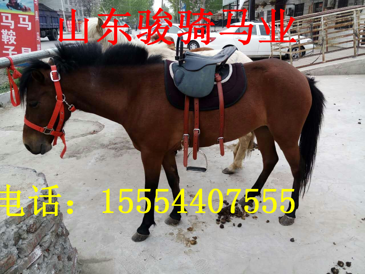 20151001095063796379.jpg