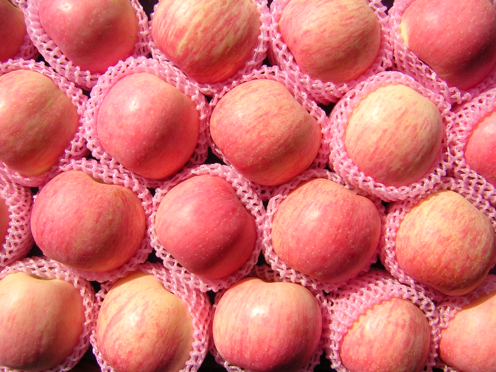 红富士苹果产地哪里产的苹果比较脆甜