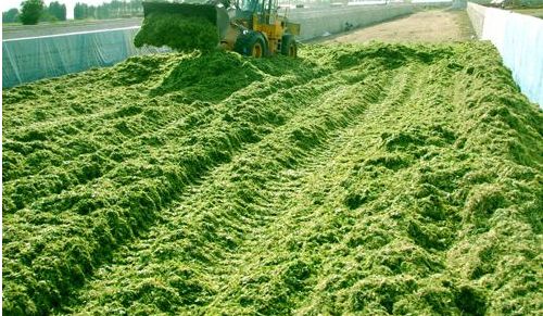 阜新辽宁玉米秸秆青贮打捆包膜机供货商