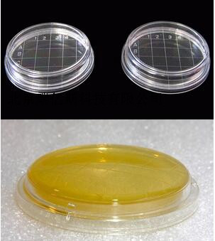 培养基有效表面积为25cm2,符合版gmp表面微生物取样要求;4.