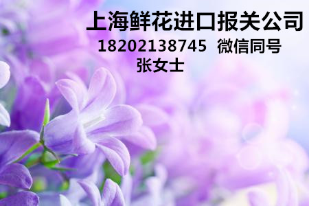 出口报关单填制规范2020_进出口报关单填制试题_出口报关单例题