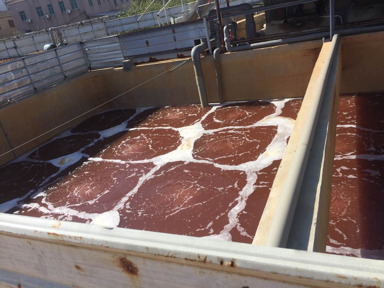 印染废水消毒脱色臭氧发生器